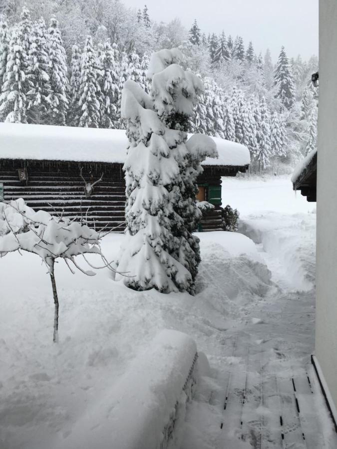 Appartement Haus Schwaighof à Arzl im Pitztal Extérieur photo